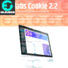 Borlabs Cookie Cookie Opt-in