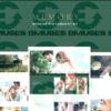 Memory – Wedding Photography Elementor Template Kits